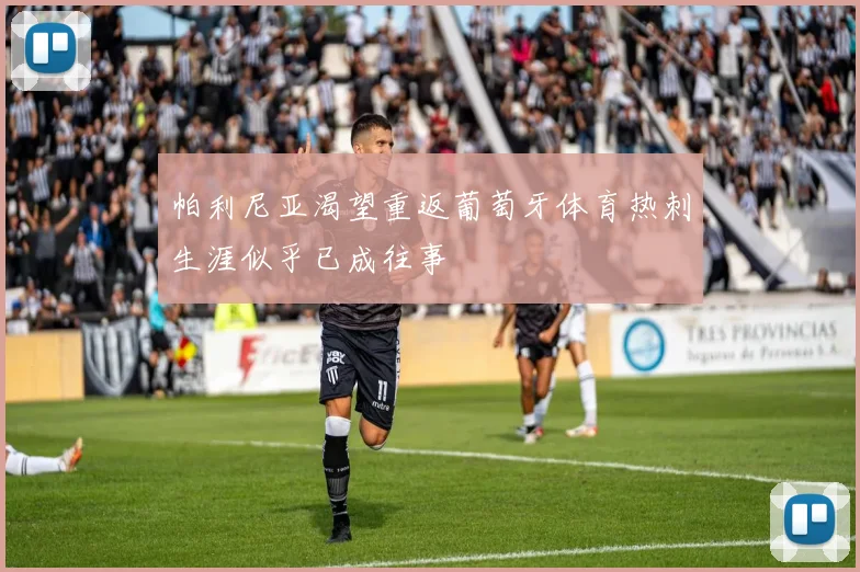 帕利尼亚渴望重返葡萄牙体育热刺生涯似乎已成往事